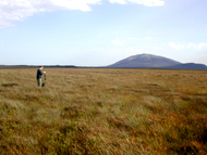 Intact blanket bog at Owenboy, Co. Mayo