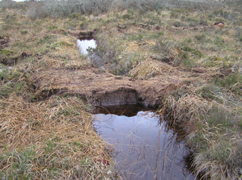 Picture of peat dam in Ireland