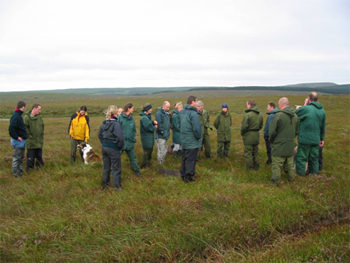 Picture of peat dam in Ireland