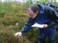 Vegetation monitoring in action