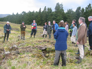 Coford Project - Options for Western Peatlands Group Visit the Bellaveeney site